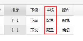 审核配置